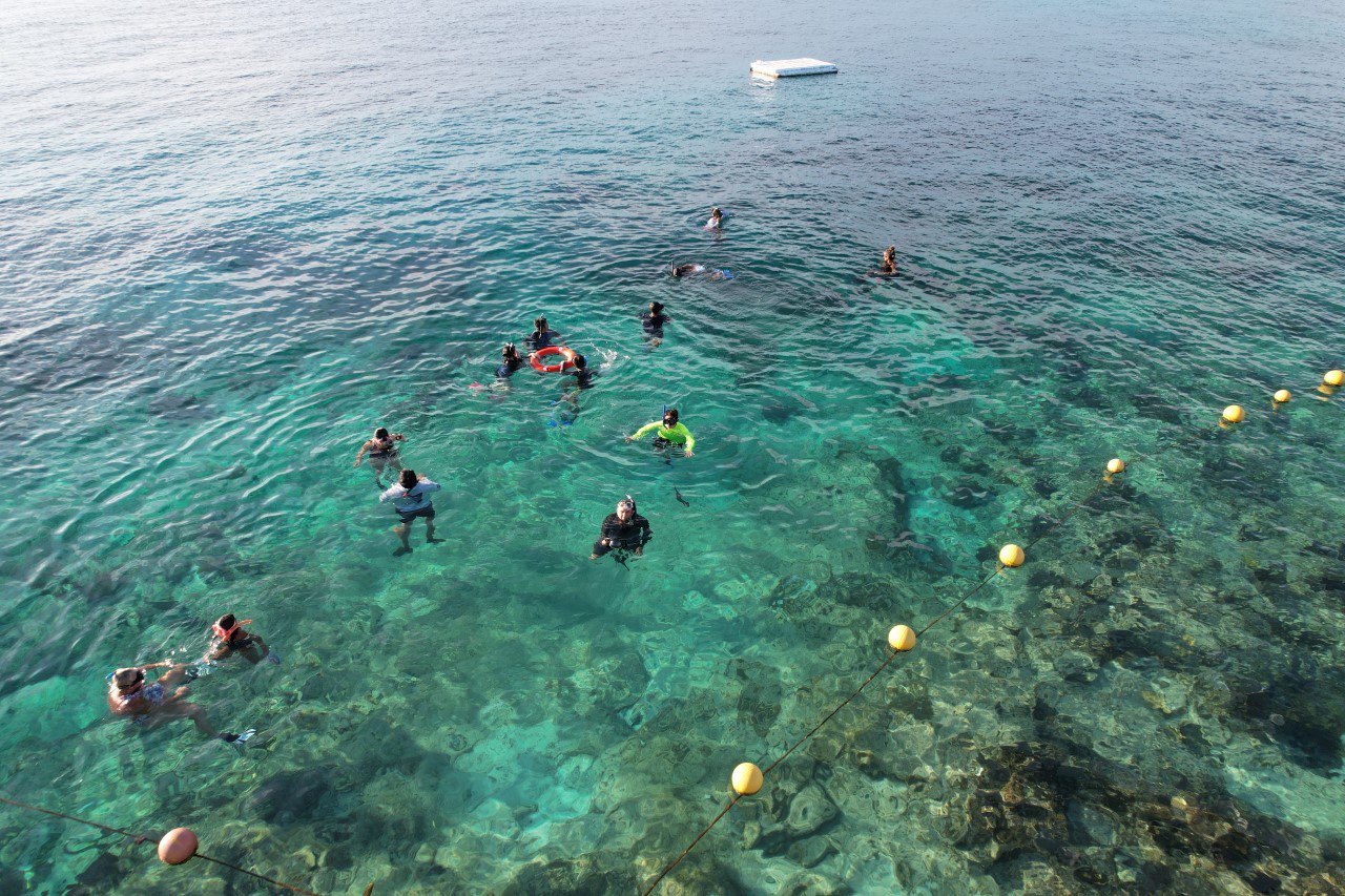 Promueve la FPMC conciencia ambiental con snorkel al atardecer en Chankanaab
