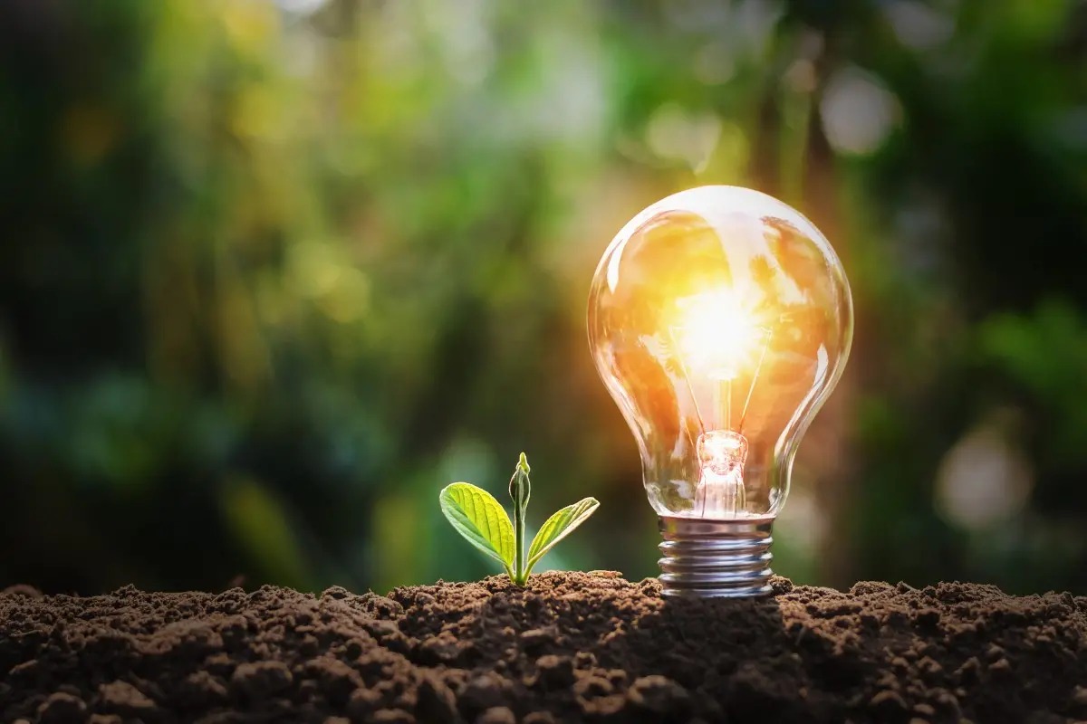 Tabasco será sede de la Convención Internacional de Medio Ambiente y Energía