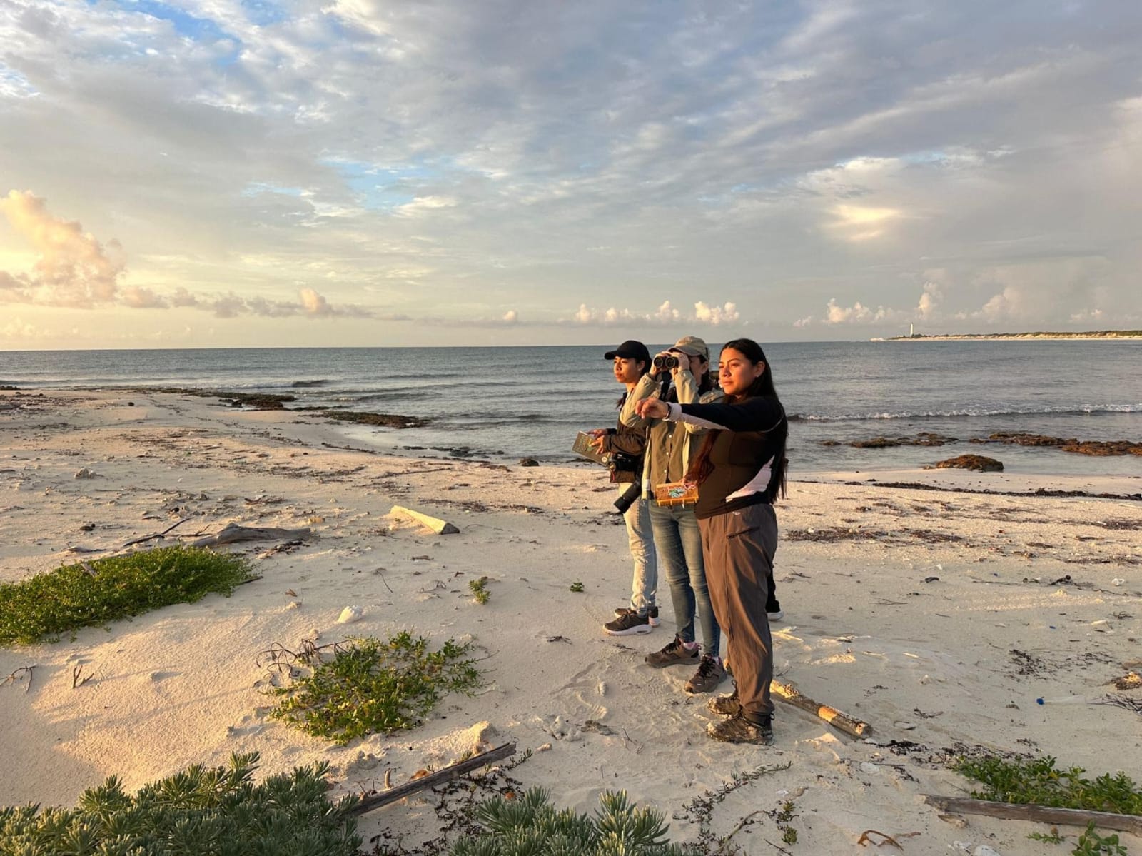 Fortalece la FPMC la protección de la avifauna mediante monitoreo continuo en Punta Sur