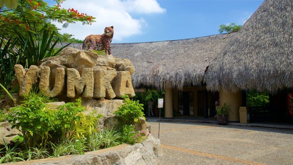 Detectan irregularidades en cuerpo de veterinarios del Yumká