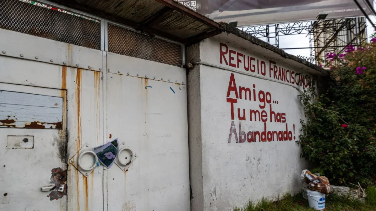 Diputados impulsan regulación para refugios de animales