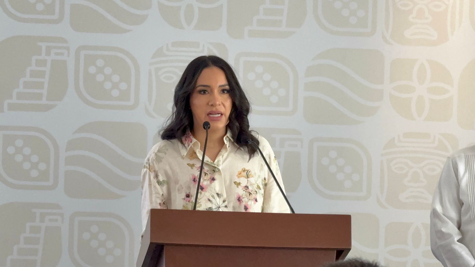 Finanzas descarta nueva deuda en proyecto 2030