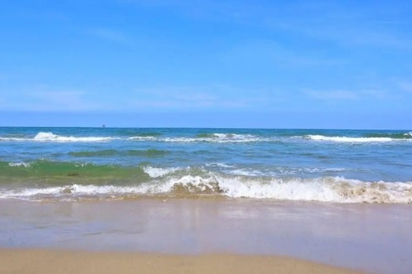 Conagua encabeza la instalación del Comité de Playas Limpias y Seguras 2026, en Centla