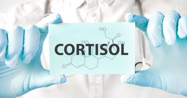 Mitos y realidades del cortisol, hormona indispensable para la vida y una buena salud: IMSS