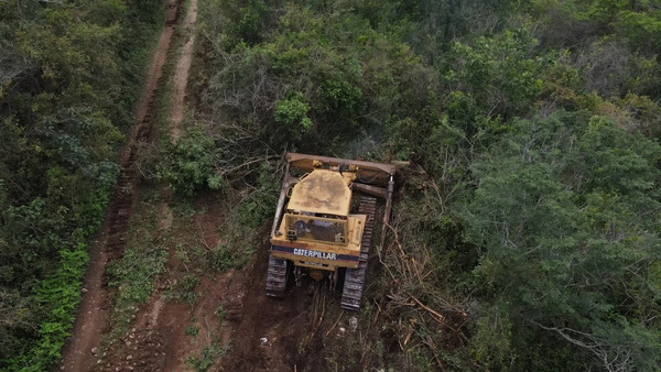 Vinculan a proceso a dos personas por deforestación en la Reserva Cuxtal