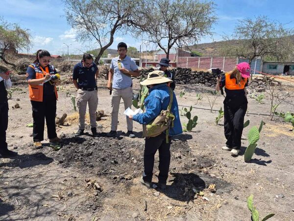 Descartan nacimiento de volcán en Michoacán; fenómeno corresponde a pozos de lodo hidrotermales