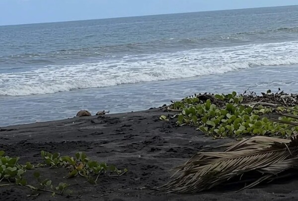 Investigan muerte de joven hallado en comunidad de Suchiate