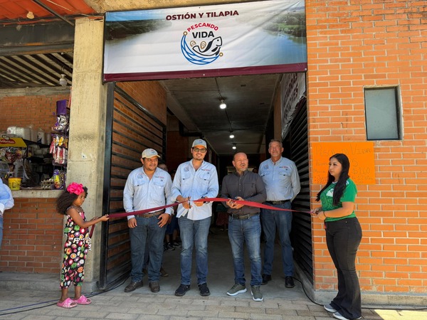 Cárdenas estrena Punto de venta de Pescando Vida; tilapia y ostión llegan sin intermediarios al mercado público