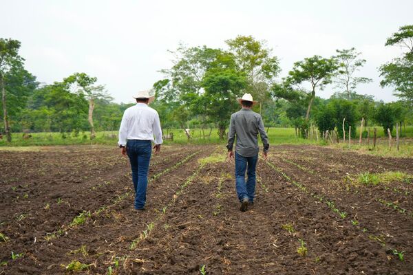 Impulsan riego para aumentar producción en Tabasco