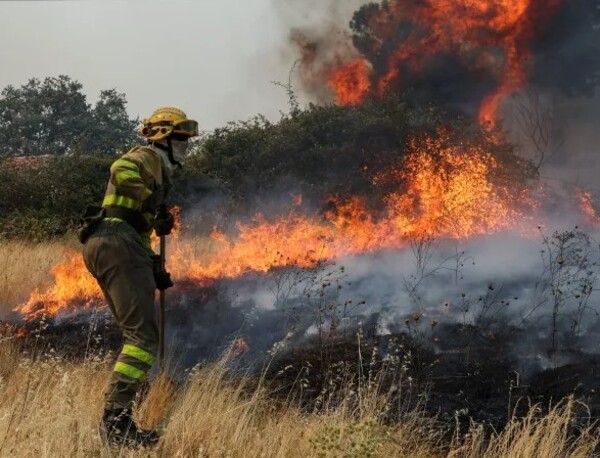 España y Francia enfrentan devastadores incendios forestales