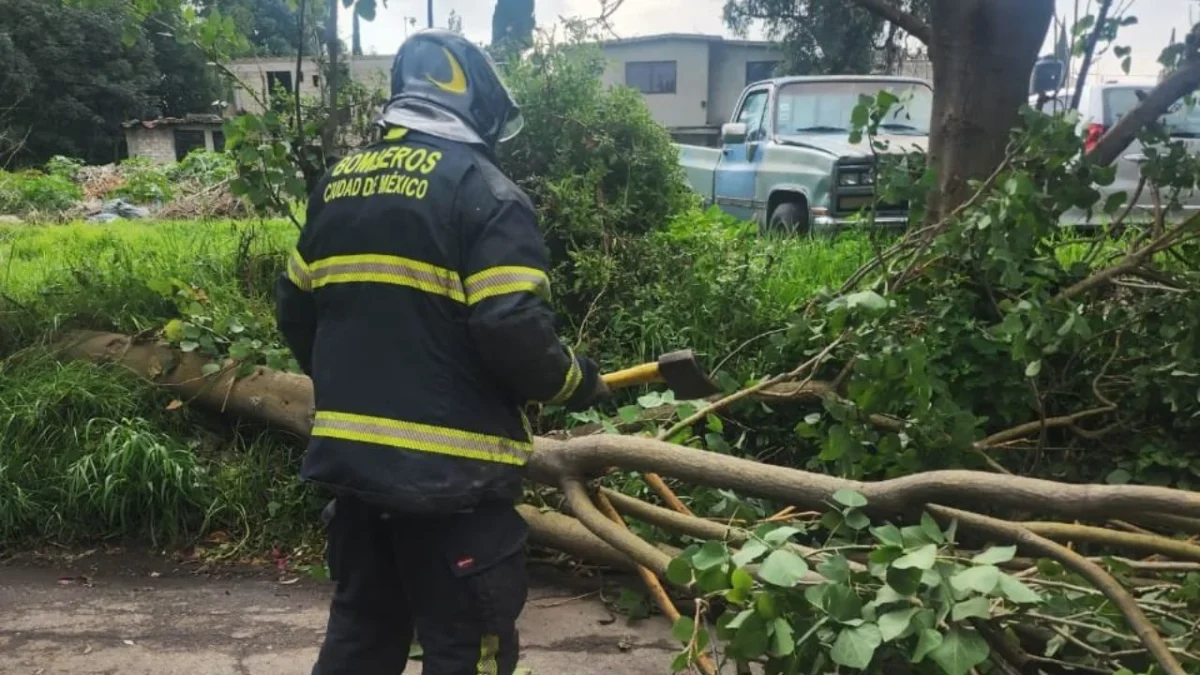 Lluvias dejan 20 árboles caídos y encharcamientos en la CDMX