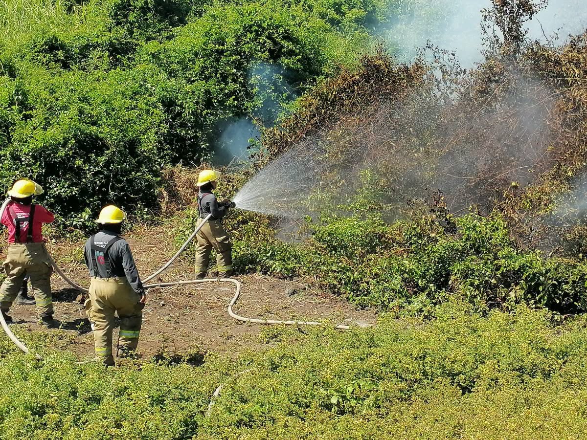 Sofocan incendio de pastizal en Jalapa