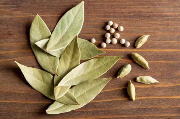 Hojas de laurel ayudan a repeler gorgojos y proteger granos almacenados