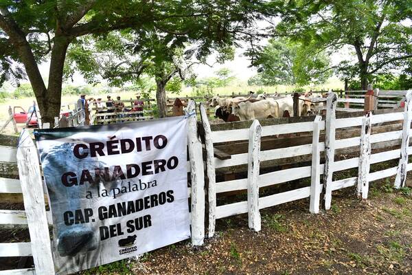 Crédito Ganadero prevé cerrar 2026 con 3 mil crías