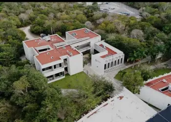 UPY estrena estrategia nacional contra ciberdelitos