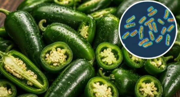 Brote de salmonela por jalapeños mexicanos obliga a Chipotle a retirarlos de sus restaurantes