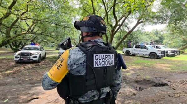Refuerzan seguridad para proteger exportación de aguacate a EE.UU.