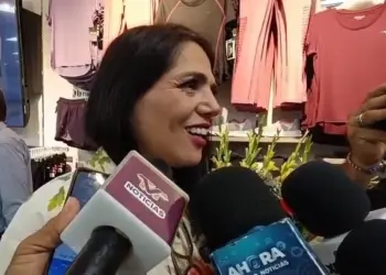 Que diputados federales se dediquen a sus circunscripciones donde pertenecen: Katia Ornelas Gil