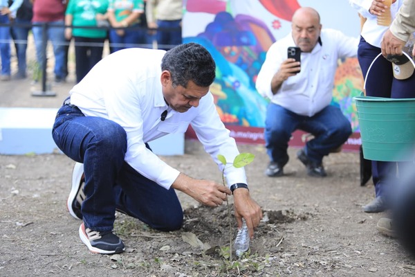 Tabasco participa con casi 2 mil personas en jornada de reforestación