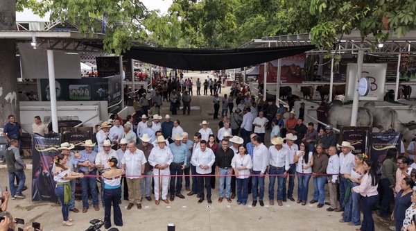 Muestra Mexicana de Cebú reúne 796 ejemplares en Tabasco