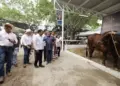 Cuarta Edición de la Muestra Mexicana de Cebú impulsa la actividad agropecuaria de Tabasco