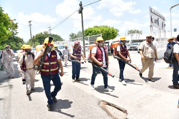 Tabasco intensifica combate contra dengue, zika y chikungunya