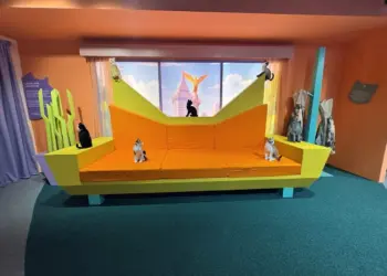Museo del Gato llega a CDMX con experiencia inmersiva para los ‘catlovers’