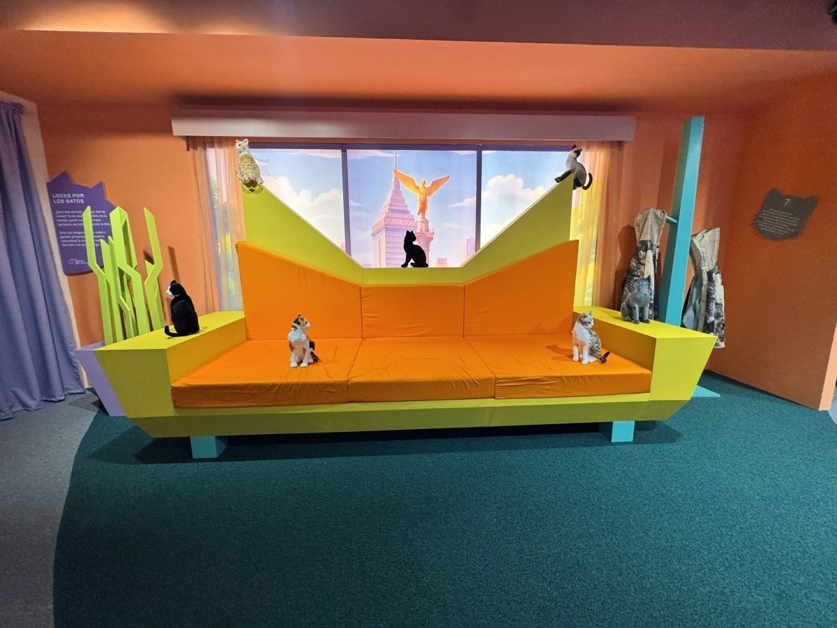 Museo del Gato llega a CDMX con experiencia inmersiva para los ‘catlovers’