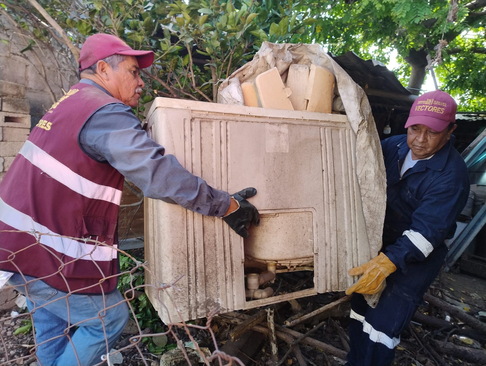 Refuerza Salud acciones preventivas contra el dengue por temporada de lluvias