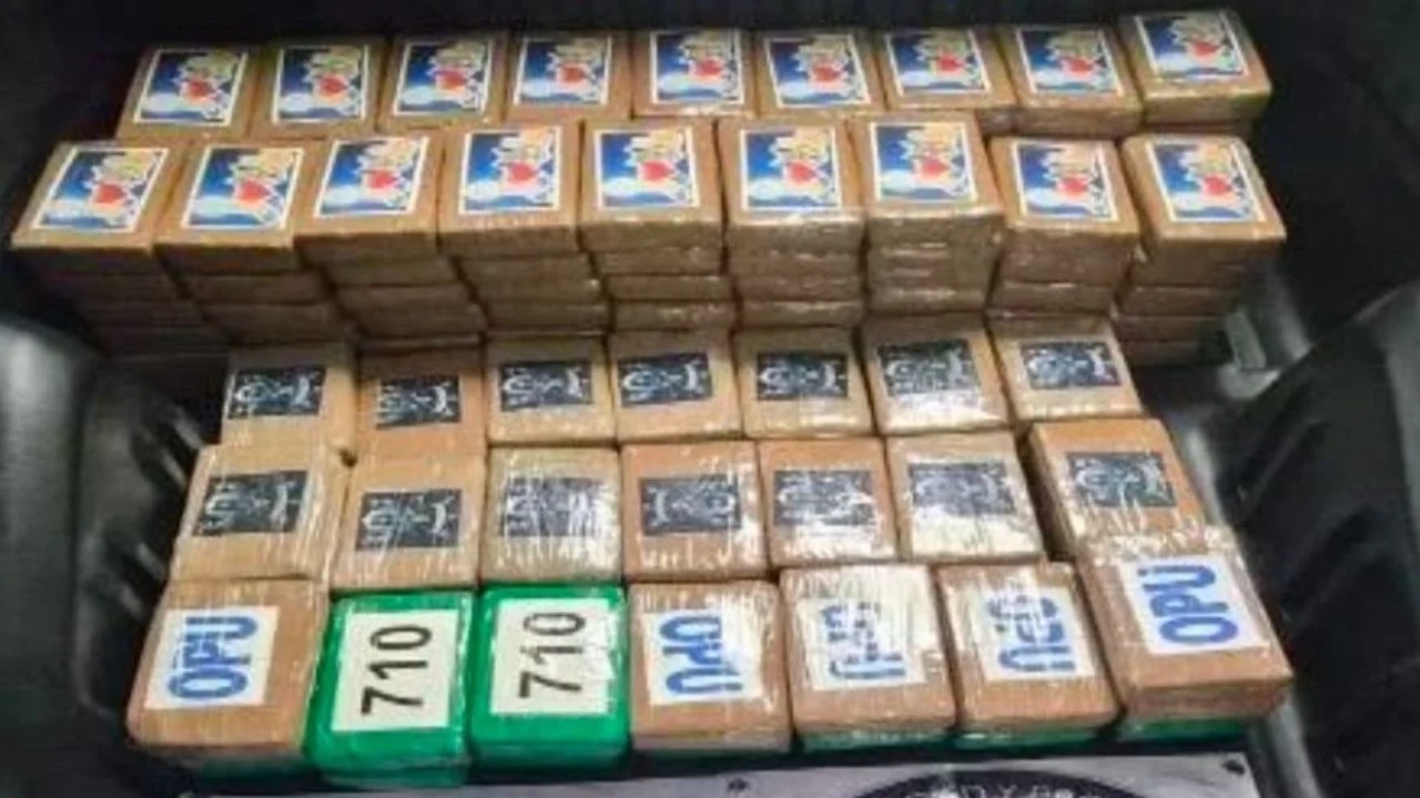 Incautan 217 kilos de cocaína escondidos en una camioneta que circulaba sobre la México-Cuernavaca