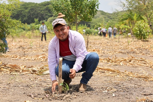 Tabasco se une a la reforestación con participación ciudadana
