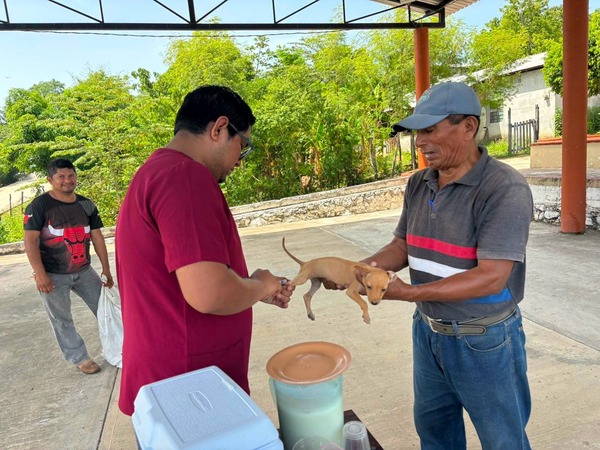 Tabasco suma mil 700 esterilizaciones gratuitas