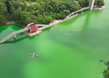 Suman esfuerzos por Laguna de las Ilusiones