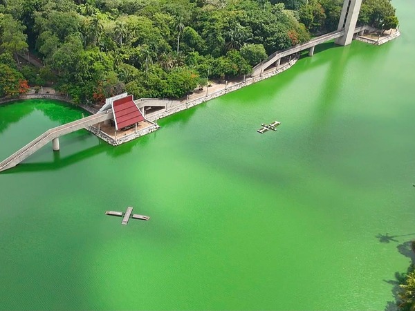 Suman esfuerzos por Laguna de las Ilusiones
