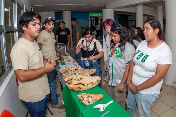 UJAT celebra Día Nacional del Cocodrilo con jornada científica