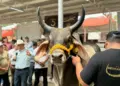 Productores conocen alternativas para mejorar sus hatos