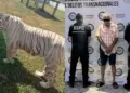 Hallan más de 130 animales exóticos en operativo contra huachicol en Tamaulipas