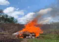 FGR destruye más de 287 kilos de droga en Tabasco