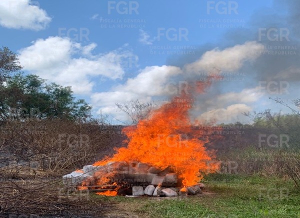 FGR destruye más de 287 kilos de droga en Tabasco