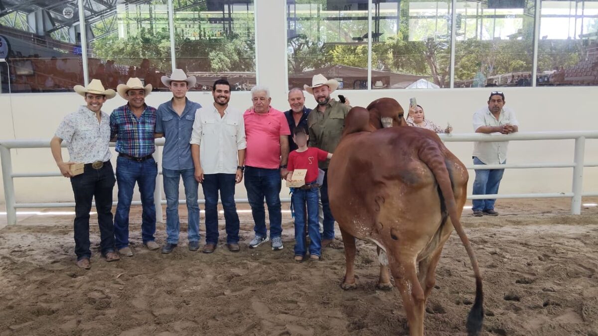 Clausuran con éxito la Muestra Mexicana del Cebú en Tabasco