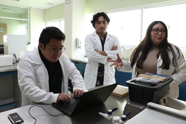 UADY identifica nuevo linaje de chikungunya en México