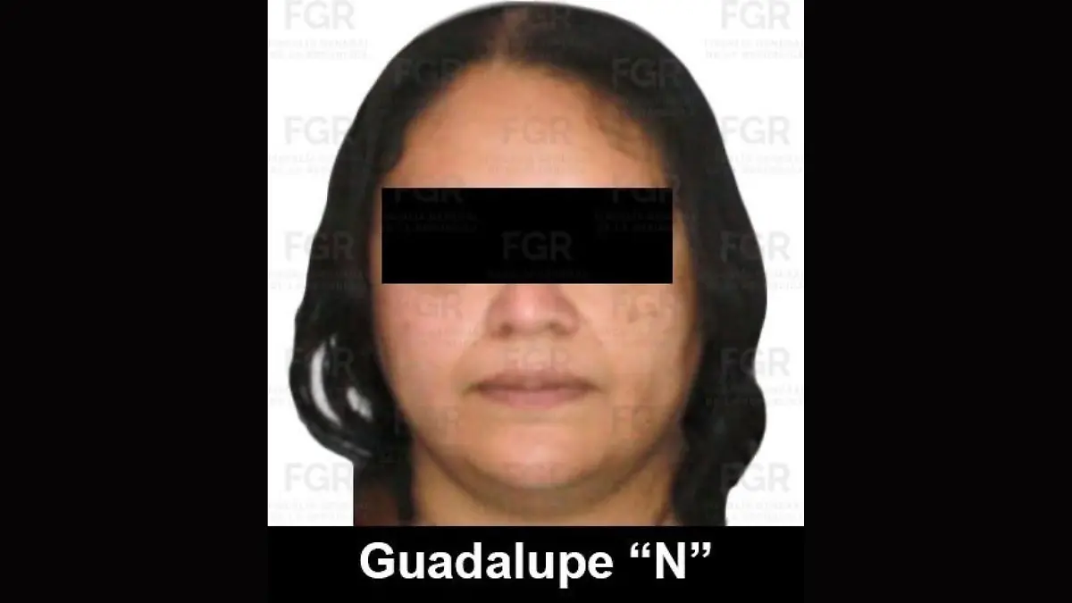 Vinculan a proceso a Guadalupe N, apoderada legal de Ingemar