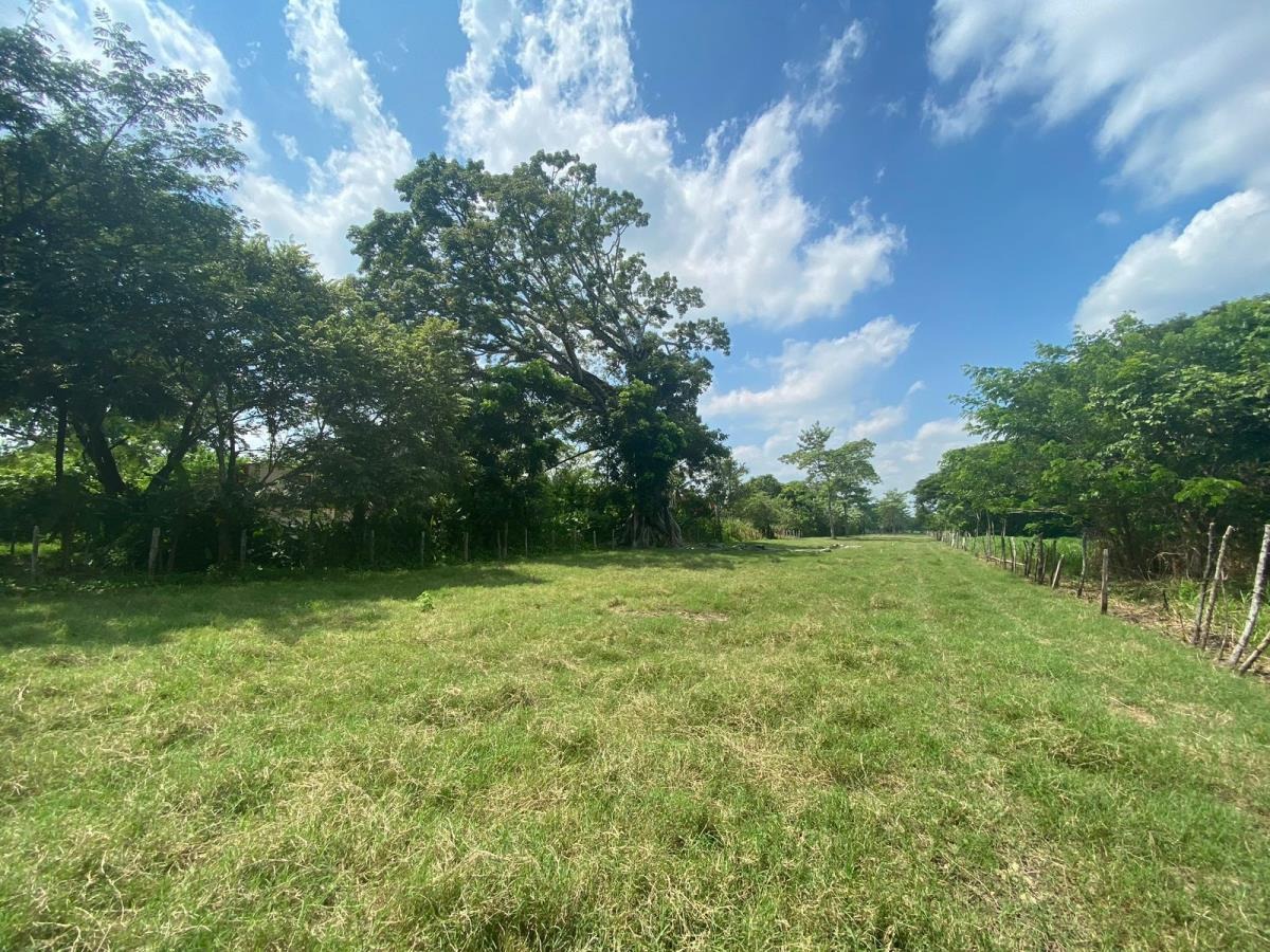 Alertan por invasión de terrenos en Tabasco