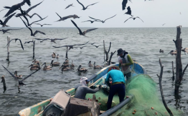 Localizan a dos pescadores desaparecidos en Chiapas; uno perdió la vida