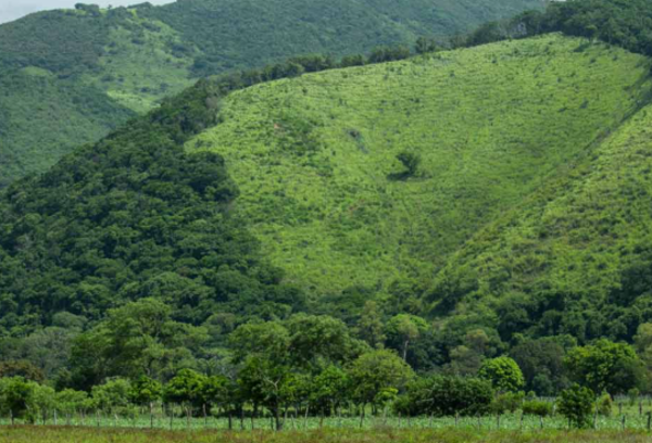 Chiapas refuerza seguridad ante tensión en Chimalapas