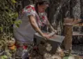 Quintana Roo llevará sabores y tradiciones a Los Pinos