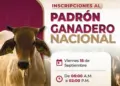 Invitan a ganaderos de Comalcalco a inscribirse al Padrón Ganadero Nacional