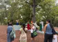 Tabasco y Chiapas fomentan el arte y la cultura desde la edad temprana