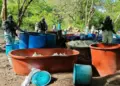 Autoridades desmantelan cuatro laboratorios de droga en Michoacán y Guerrero