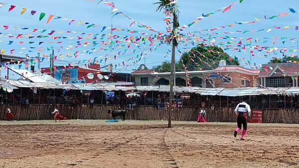Frenan maltrato a toros en tres municipios de Yucatán